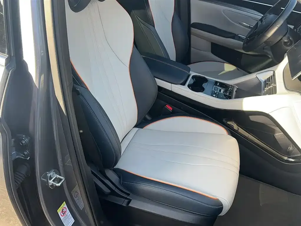 BYD PLUS New Energy 2024 из CN, фото 6