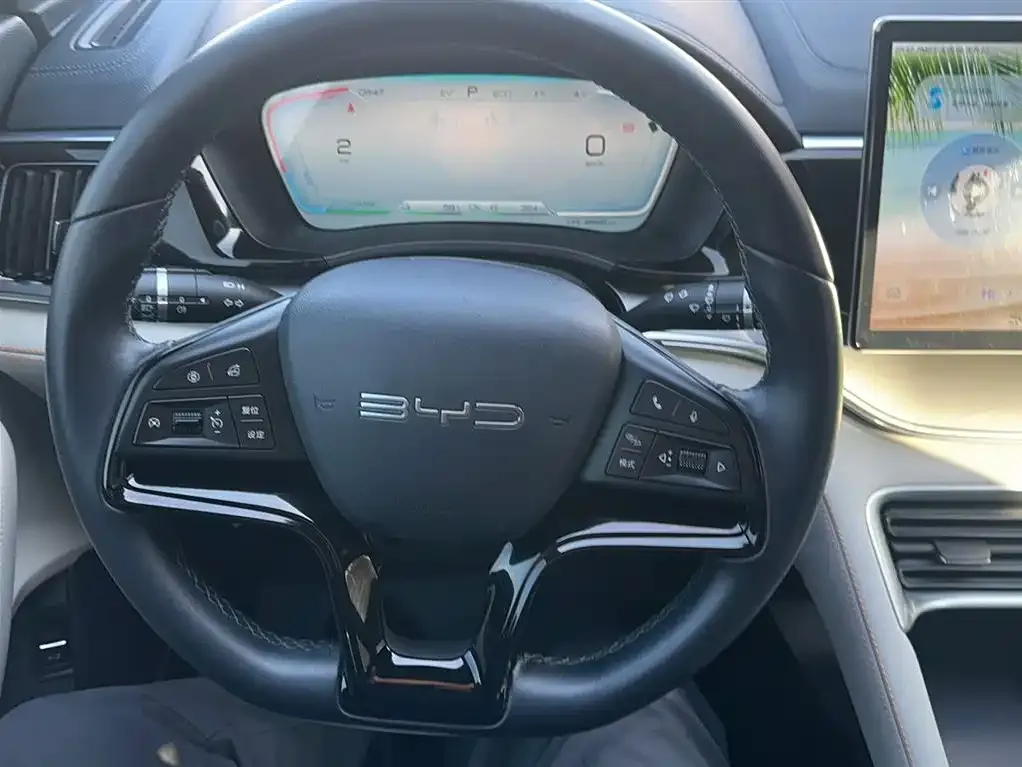 BYD PLUS New Energy 2024 из CN, фото 5