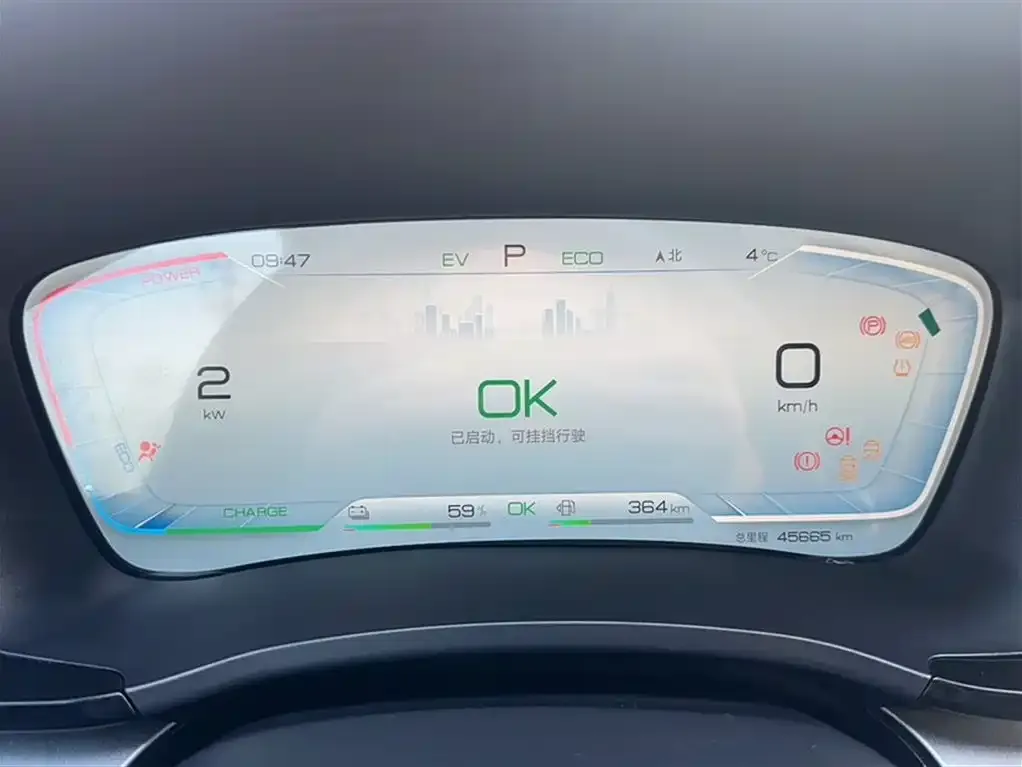 BYD PLUS New Energy 2024 из CN, фото 2