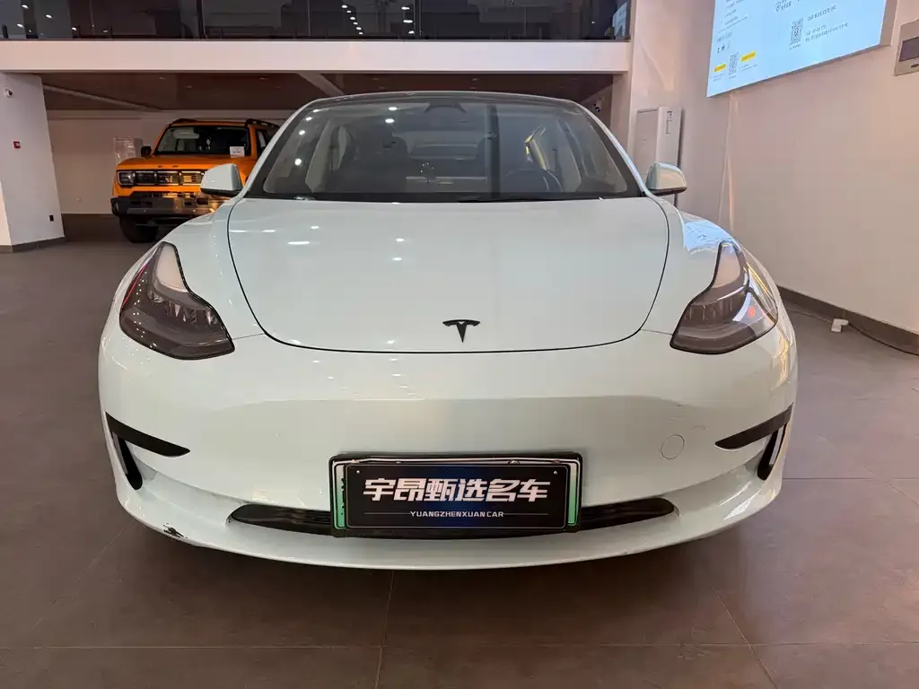 Tesla Model 3 2022 из CN, фото 1