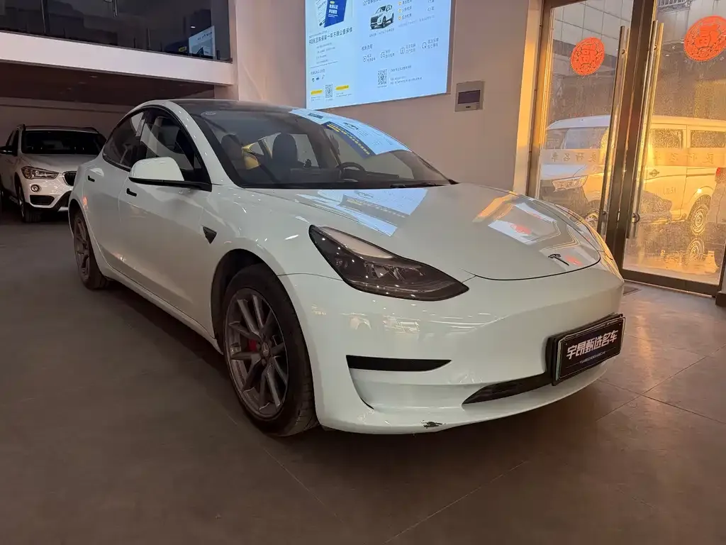 Tesla Model 3 2022 из CN, фото 2
