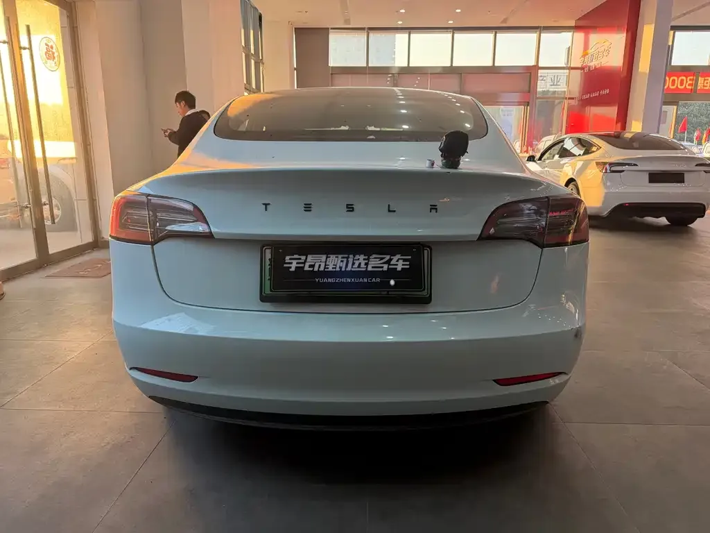 Tesla Model 3 2022 из CN, фото 4