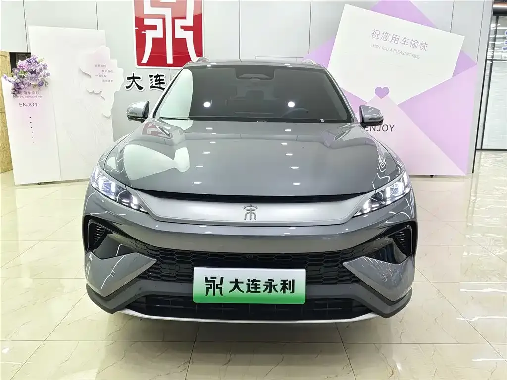 BYD Pro New Energy — фото 4