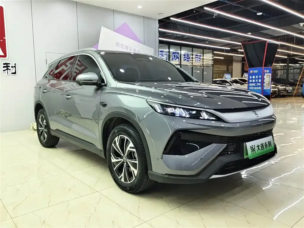 BYD Pro New Energy — фото 5