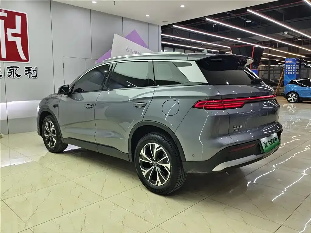 BYD Pro New Energy — фото 7