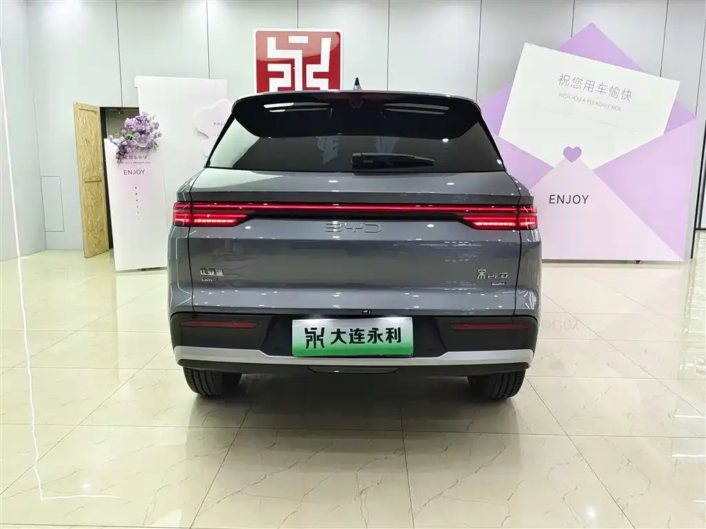 BYD Pro New Energy — фото 2