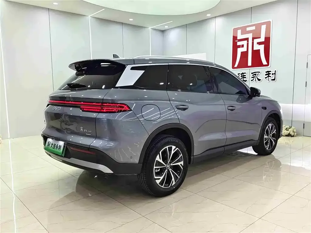 BYD Pro New Energy — фото 10