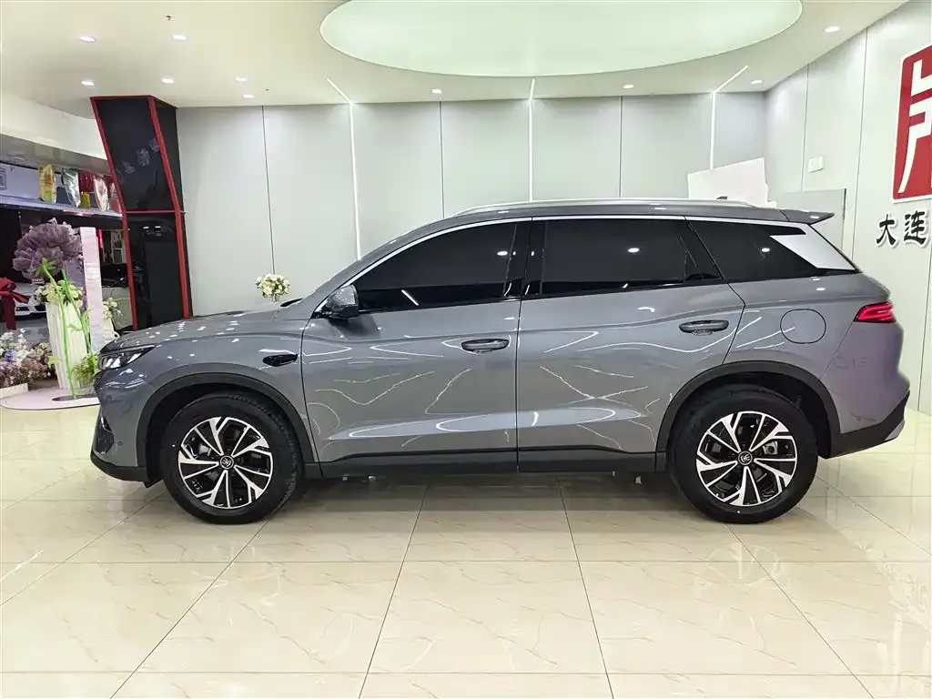BYD Pro New Energy — фото 8