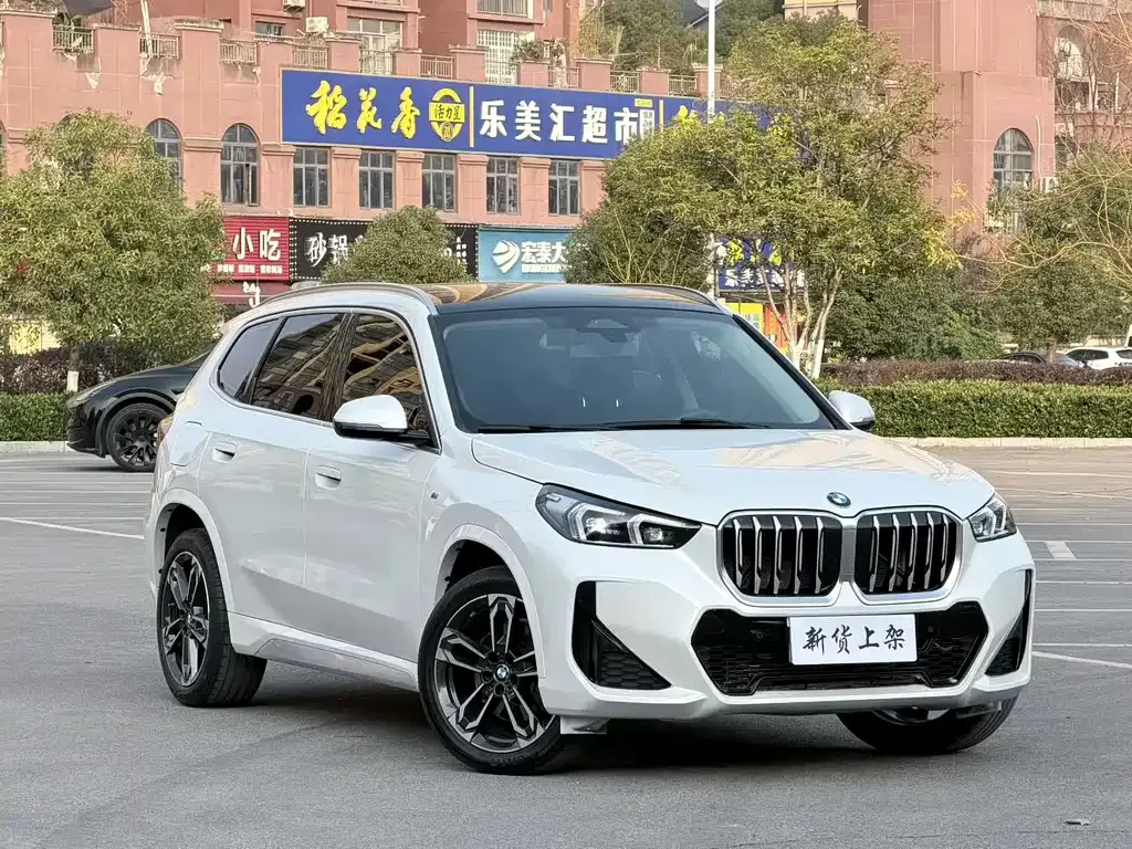 BMW X1 — фото 2