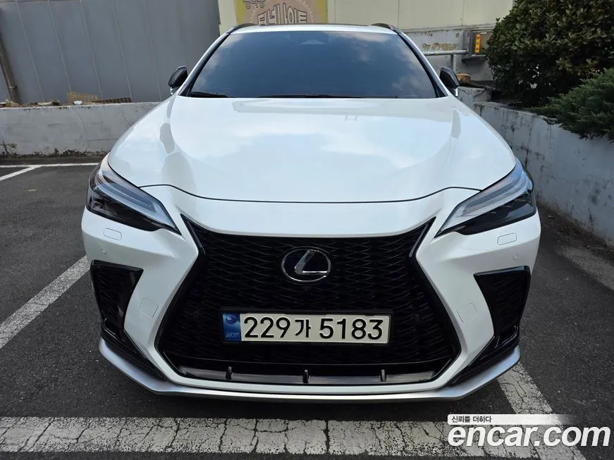 Lexus NX 2024 из KR, фото 7