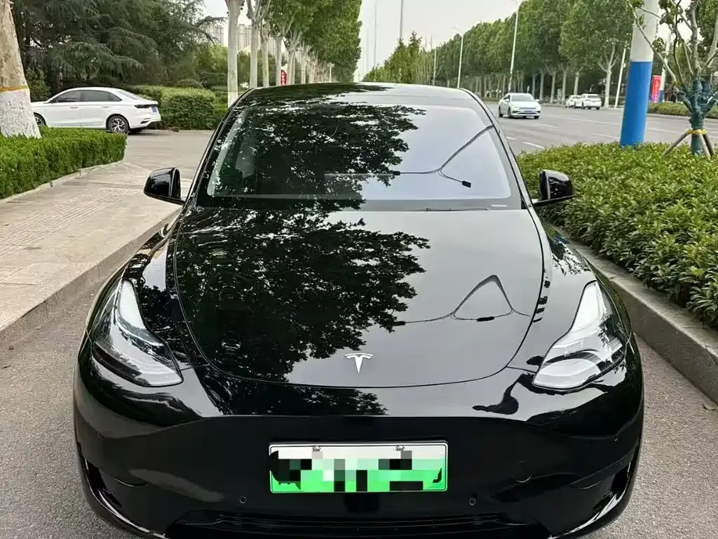 Tesla Model Y — фото 1