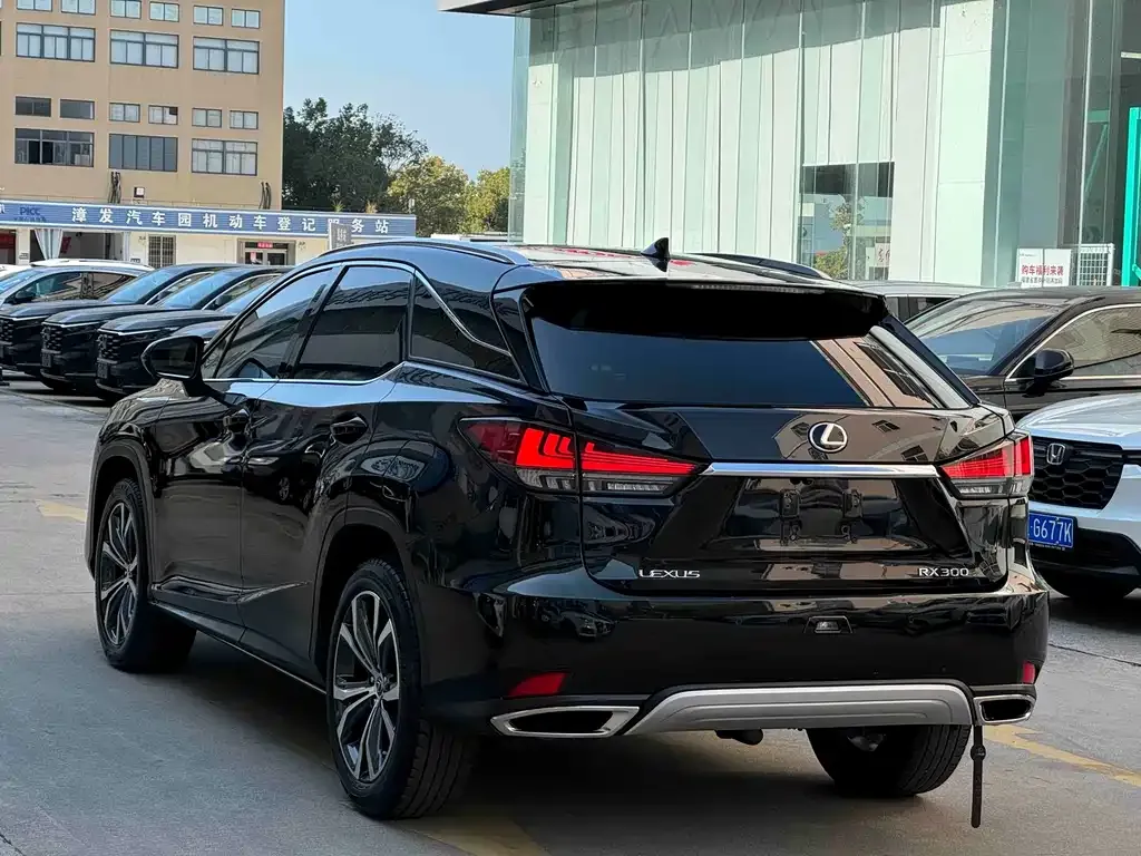 Lexus RX 2022 из CN, фото 7