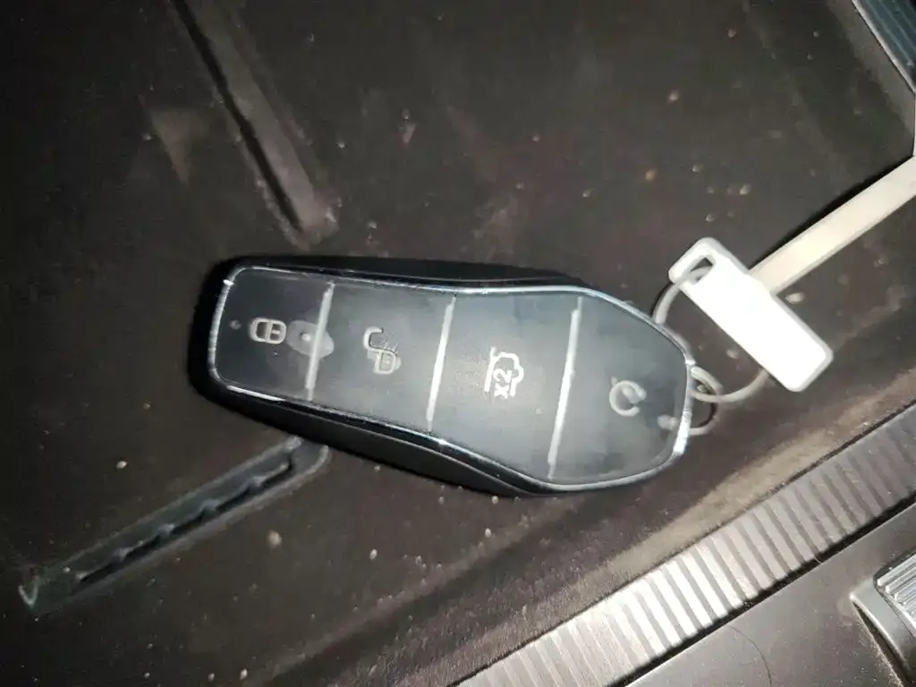 BYD L DM-i 2024 из CN, фото 9