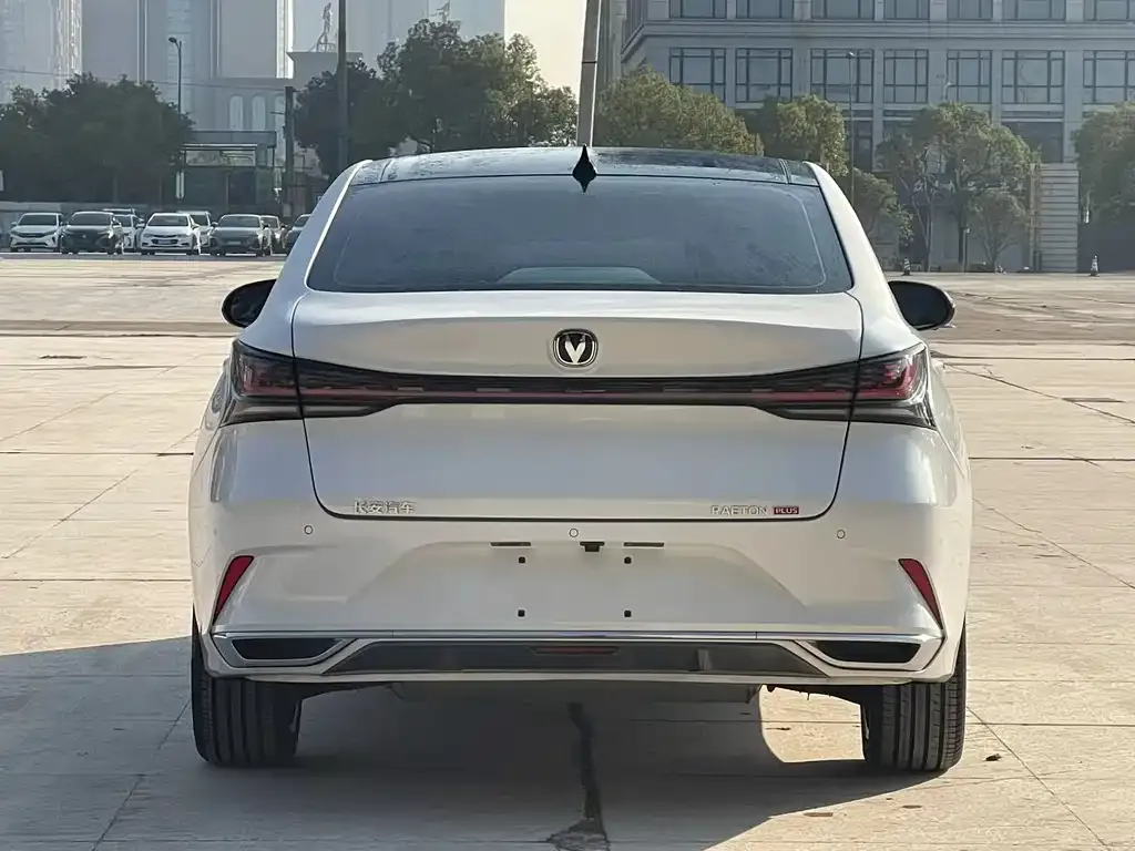 Changan Ruicheng PLUS 2025 из CN, фото 2