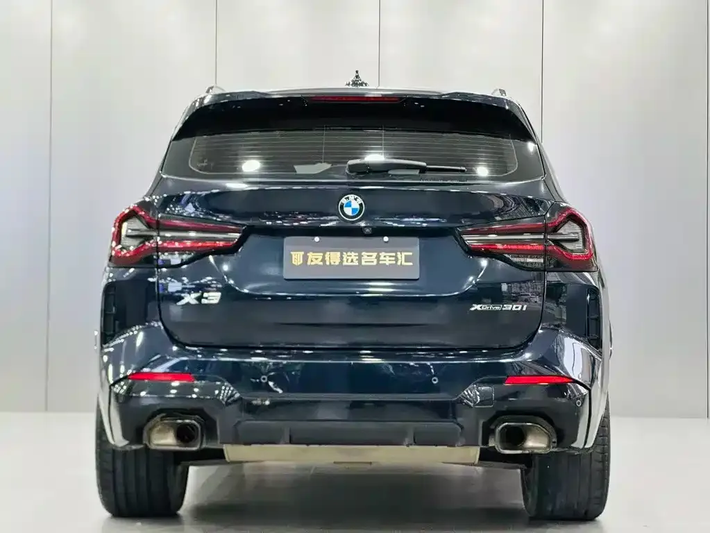 BMW X3 2021 из CN, фото 4