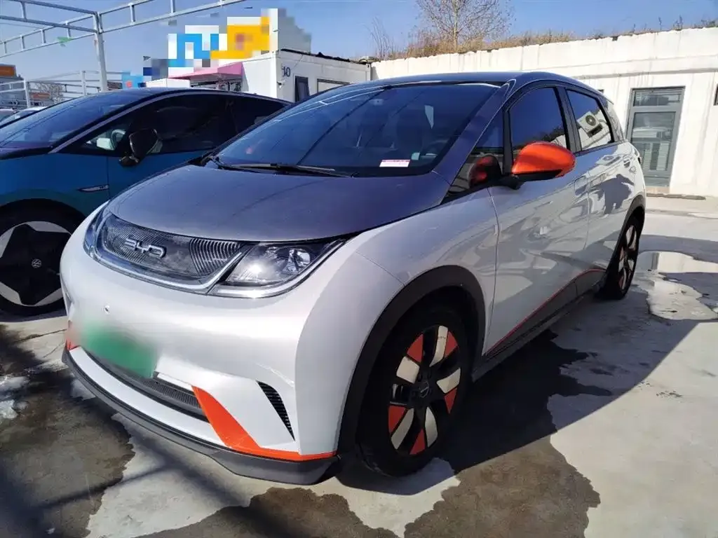 BYD Dolphin 2023 из CN, фото 1
