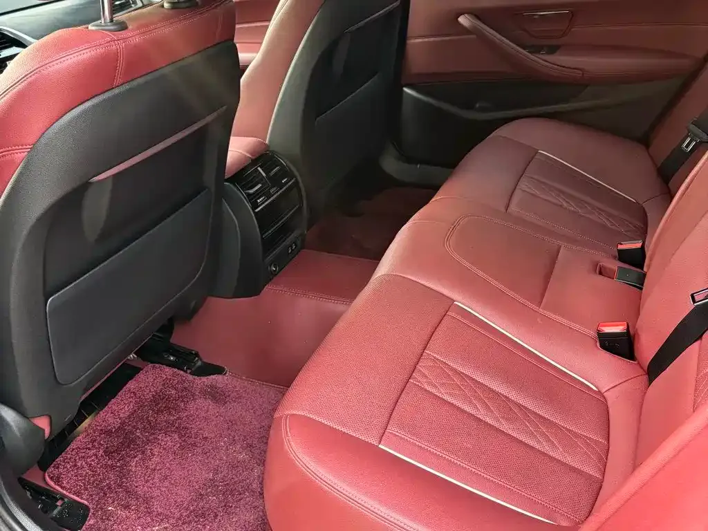 BMW 5 Series 2023 из CN, фото 5