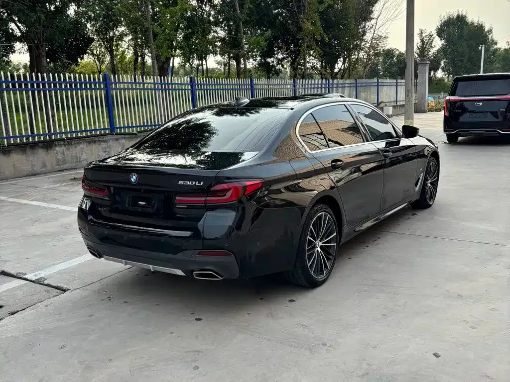 BMW 5 Series 2023 из CN, фото 4