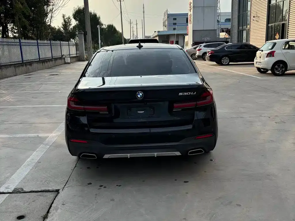 BMW 5 Series 2023 из CN, фото 7