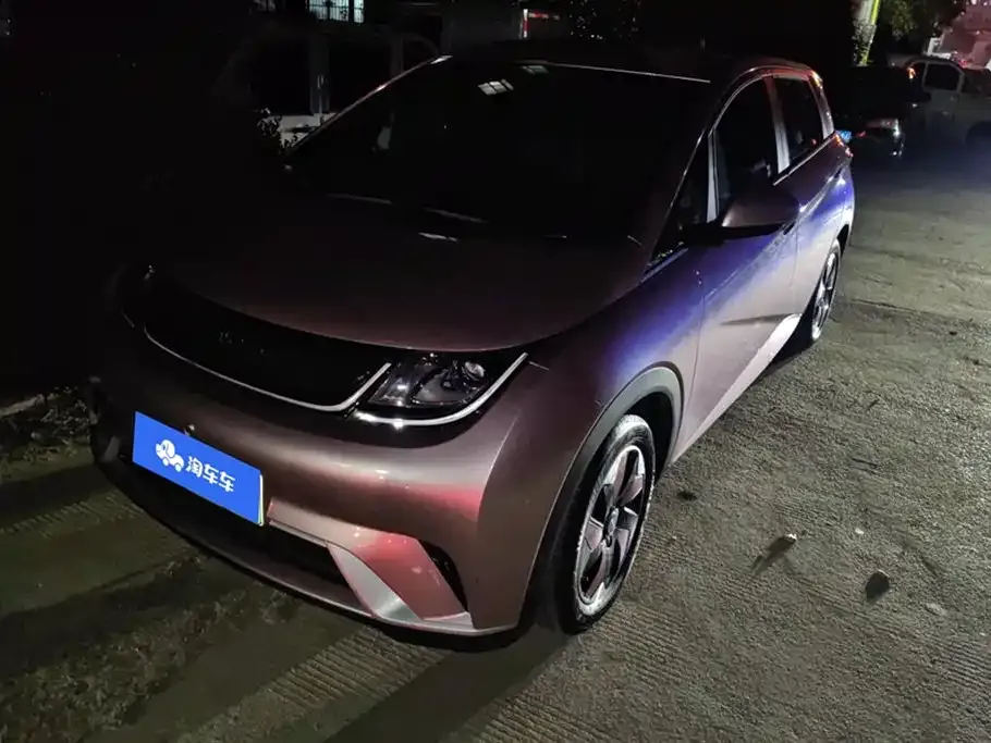 BYD Dolphin 2024 из CN, фото 1