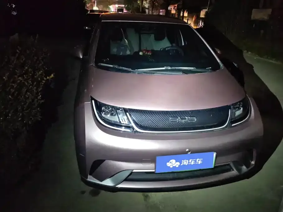 BYD Dolphin 2024 из CN, фото 8