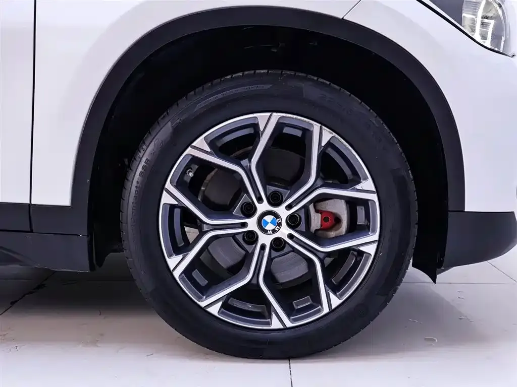 BMW X1 2021 из CN, фото 6