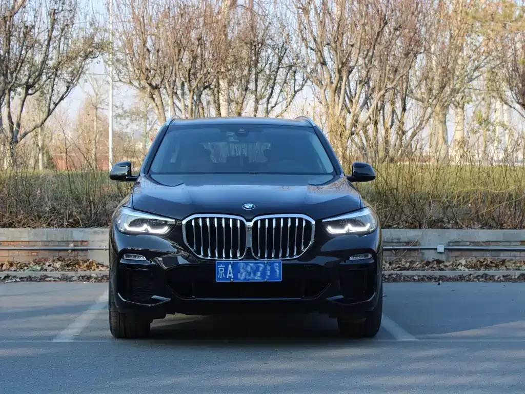 BMW X5 (Import) 2021 из CN, фото 6