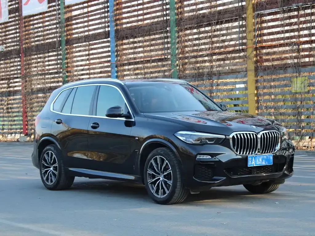 BMW X5 (Import) 2021 из CN, фото 4
