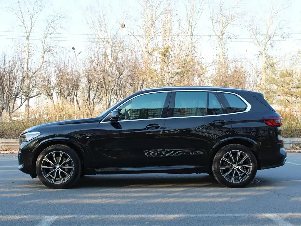 BMW X5 (Import) 2021 из CN, фото 7