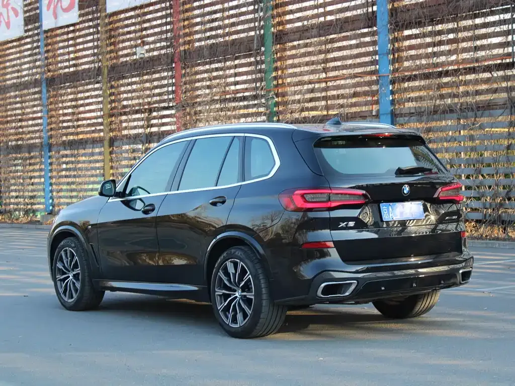 BMW X5 (Import) 2021 из CN, фото 10