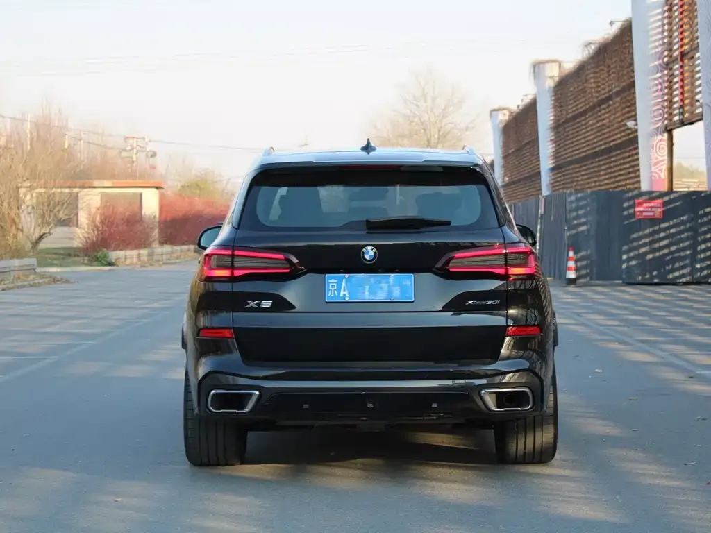 BMW X5 (Import) 2021 из CN, фото 2