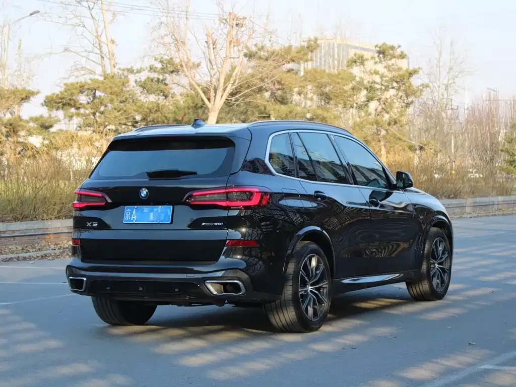 BMW X5 (Import) 2021 из CN, фото 9