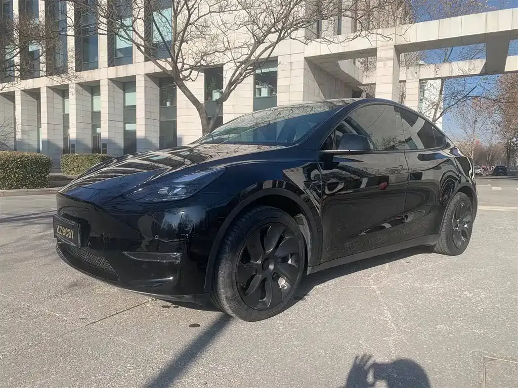 Tesla Model Y — фото 1