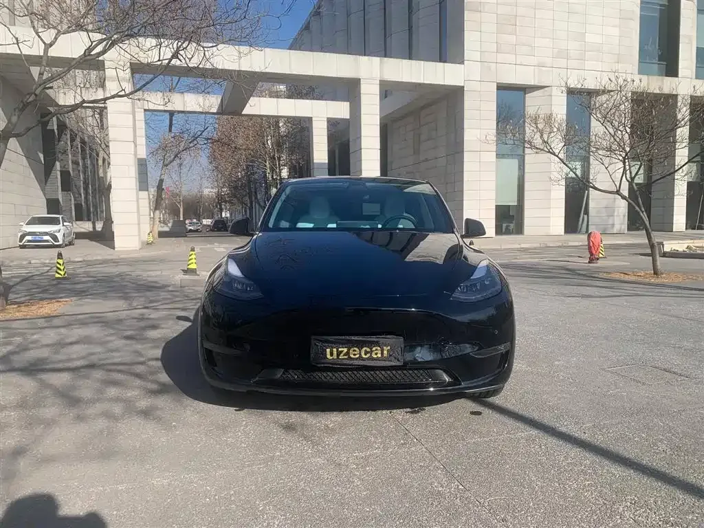 Tesla Model Y — фото 5