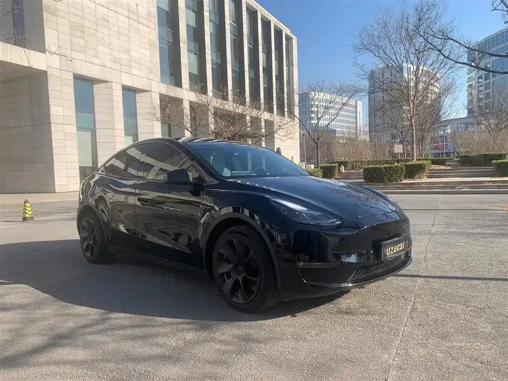 Tesla Model Y — фото 4
