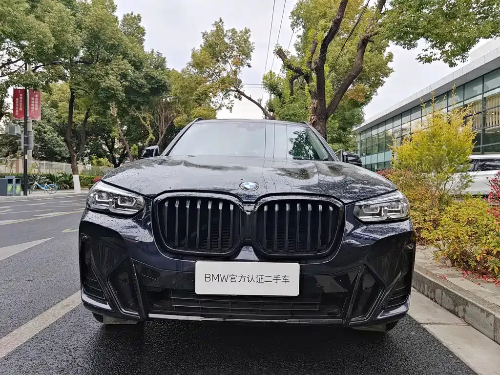 BMW X3 2022 из CN, фото 9