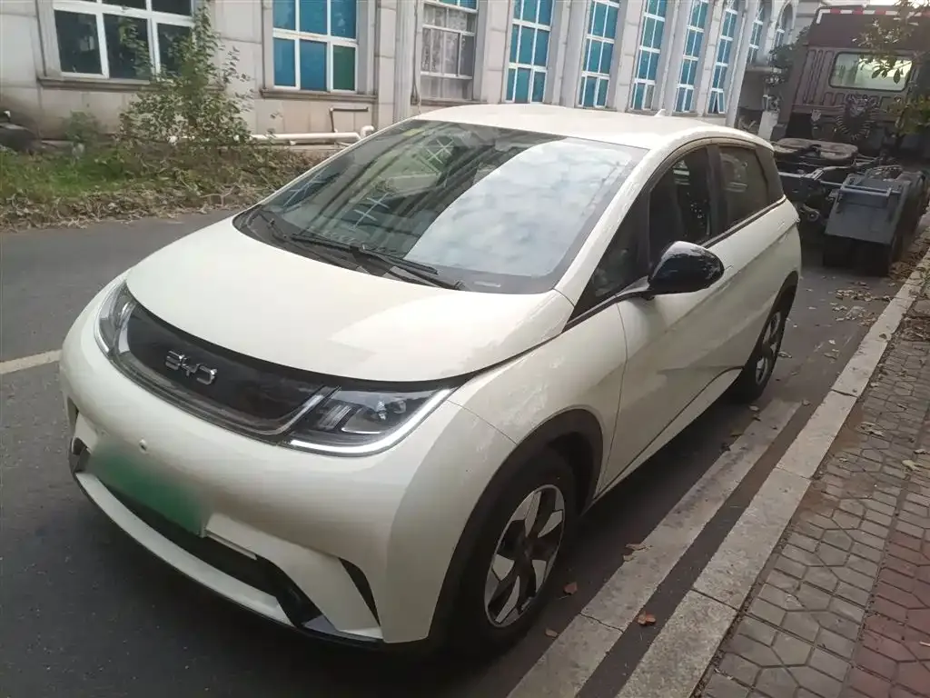 [object Object] Dolphin 2025 из CN, фото 2