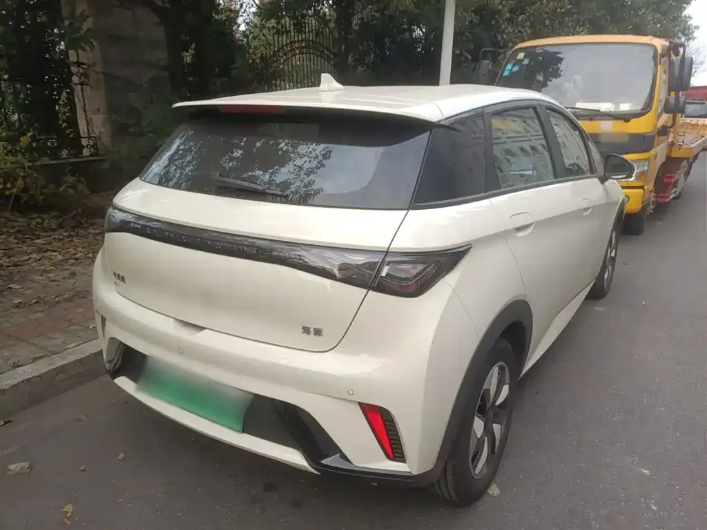 [object Object] Dolphin 2025 из CN, фото 7