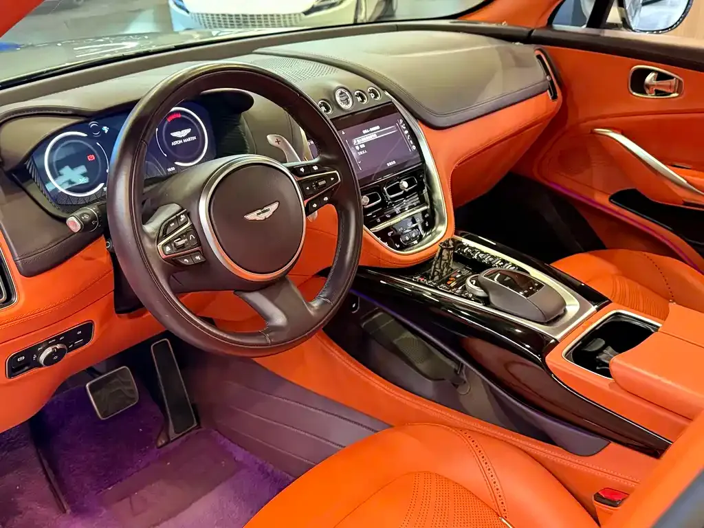 Aston Martin DBX 2023 из CN, фото 10