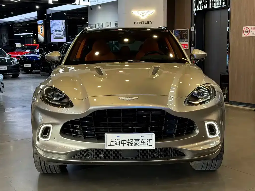 Aston Martin DBX 2023 из CN, фото 7