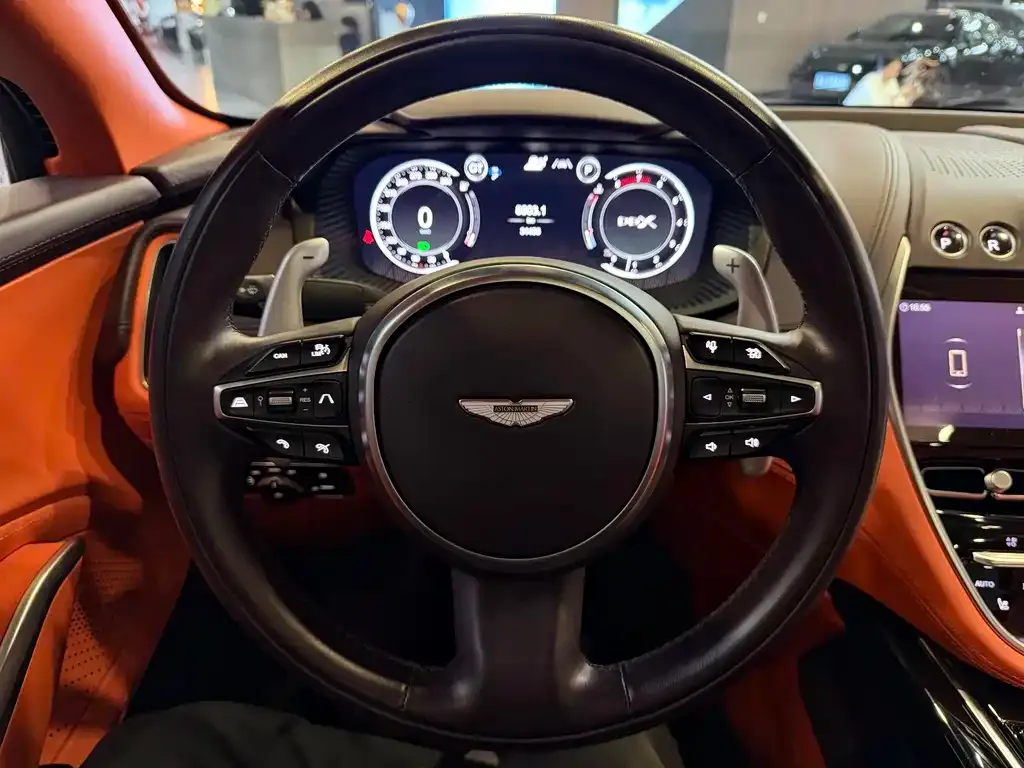 Aston Martin DBX 2023 из CN, фото 8
