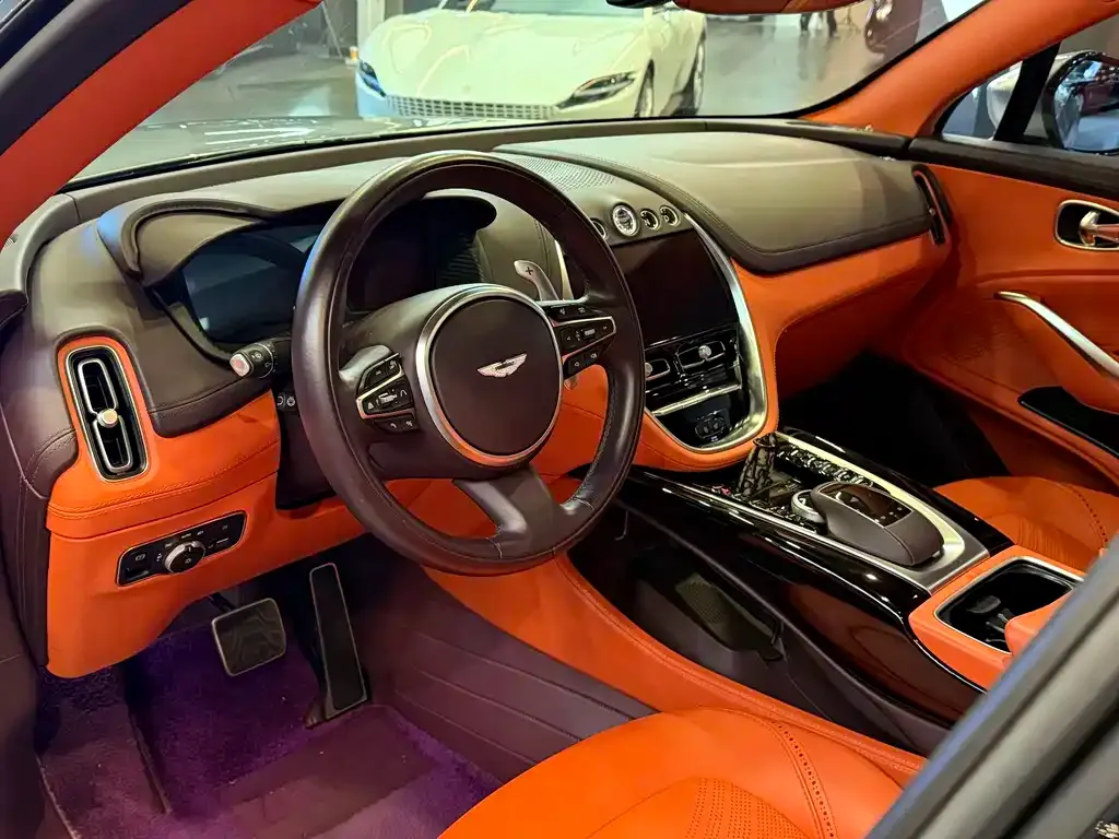Aston Martin DBX 2023 из CN, фото 4