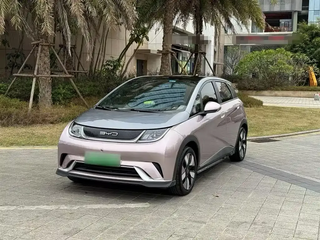 BYD Dolphin 2023 из CN, фото 2