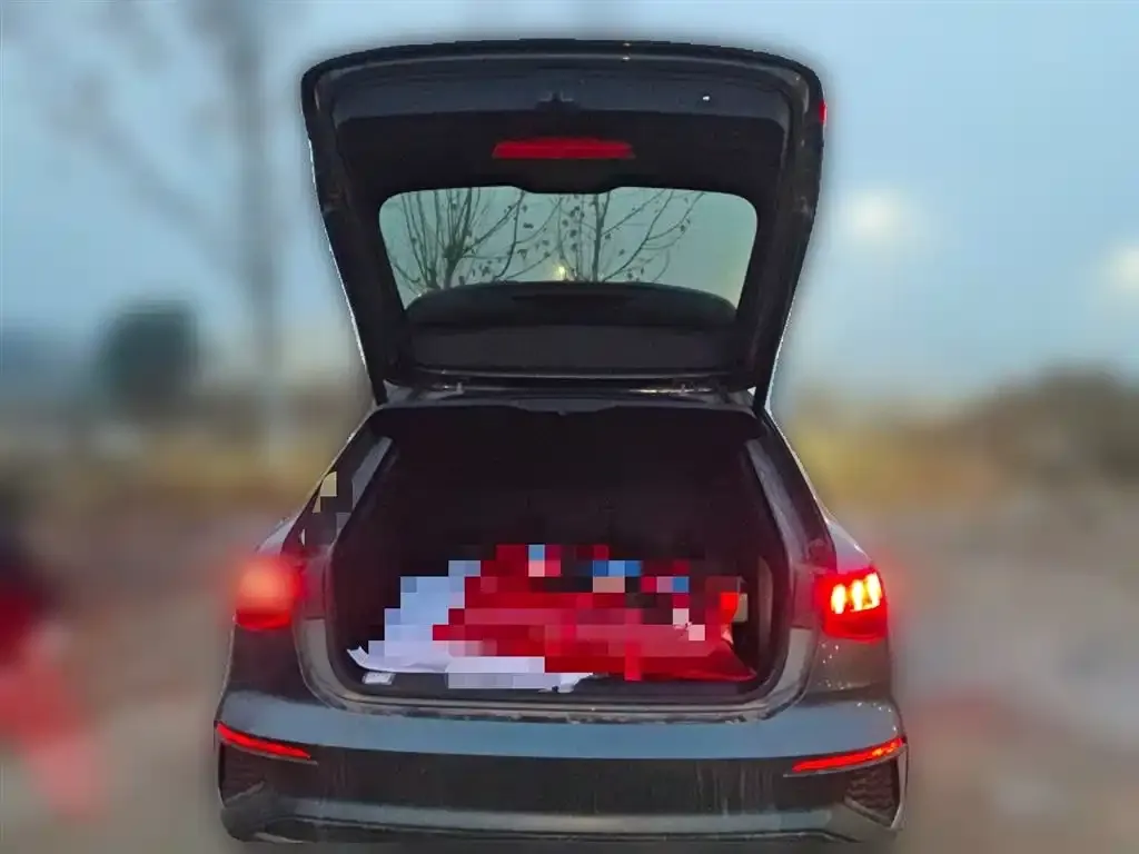 Audi A3 2024 из CN, фото 3