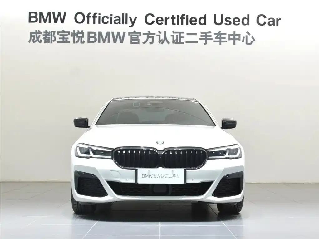 BMW 5 Series New Energy 2022 из CN, фото 2