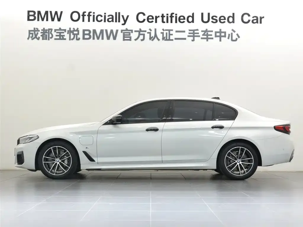 BMW 5 Series New Energy 2022 из CN, фото 3