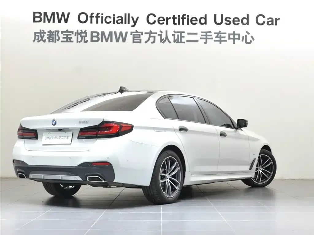 BMW 5 Series New Energy 2022 из CN, фото 5
