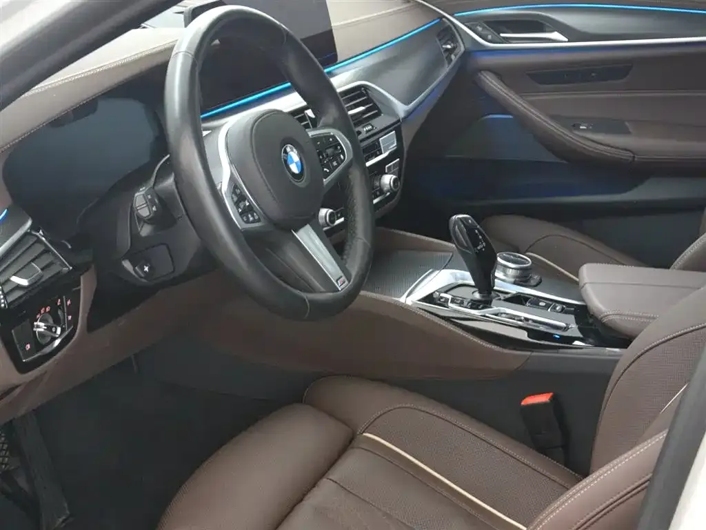 BMW 5 Series New Energy 2022 из CN, фото 8
