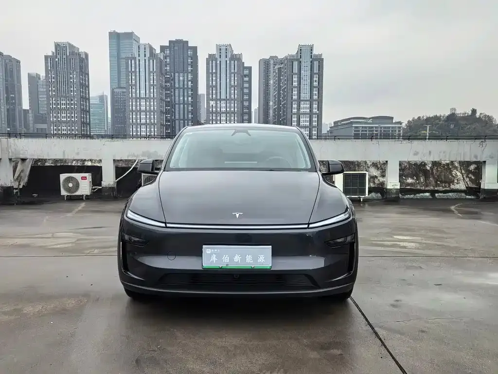 Tesla Model Y 2025 из CN, фото 9
