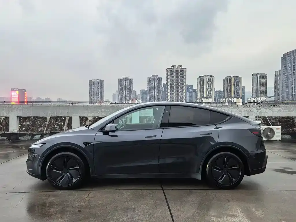 Tesla Model Y 2025 из CN, фото 4